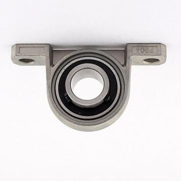 Hot Sale SKF Chrome Steel Snl 516 Bearing with Housing