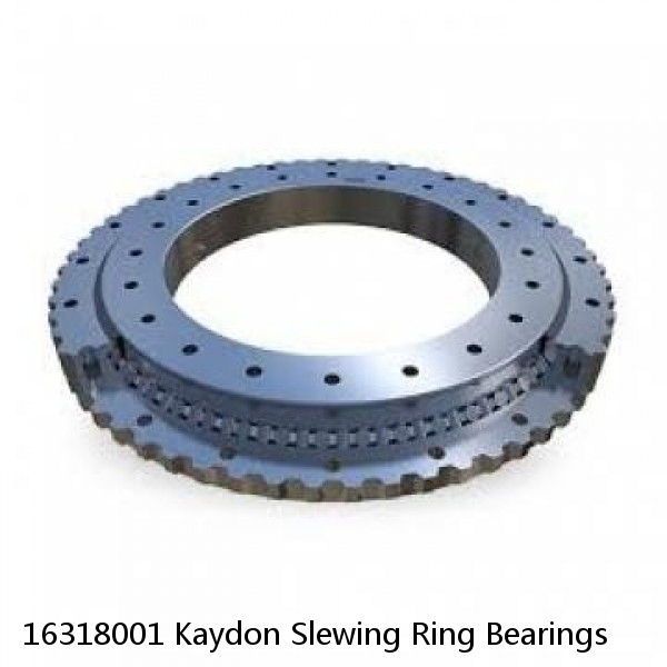 16318001 Kaydon Slewing Ring Bearings