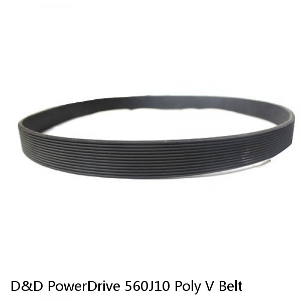 D&D PowerDrive 560J10 Poly V Belt