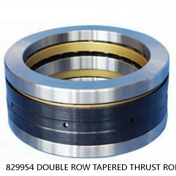829954 DOUBLE ROW TAPERED THRUST ROLLER BEARINGS #1 small image