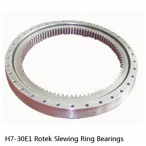 H7-30E1 Rotek Slewing Ring Bearings #1 small image