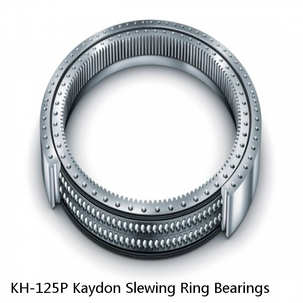 KH-125P Kaydon Slewing Ring Bearings #1 small image