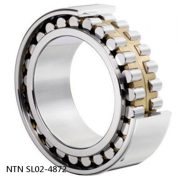 SL02-4872 NTN Cylindrical Roller Bearing #1 small image