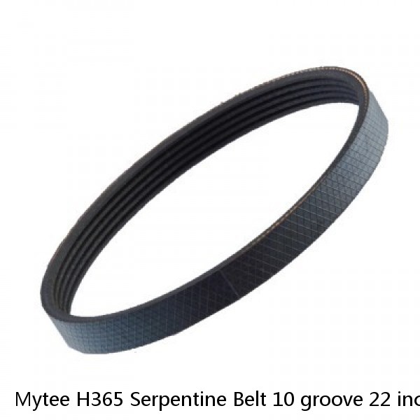 Mytee H365 Serpentine Belt 10 groove 22 inches PolyV Belts 220-J-10 Jianli 220J  #1 small image