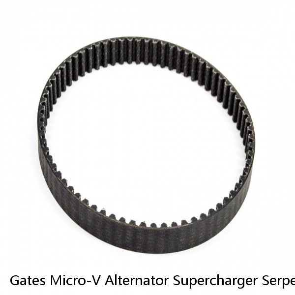 Gates Micro-V Alternator Supercharger Serpentine Belt for 1999-2000 ak #1 small image
