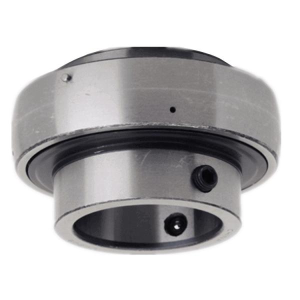 Stainless Steel Pillow Block Bearing UC210 UCP210 with ISO9001 #1 image
