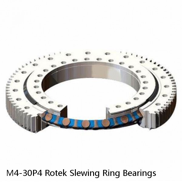 M4-30P4 Rotek Slewing Ring Bearings #1 image