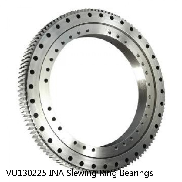 VU130225 INA Slewing Ring Bearings #1 image