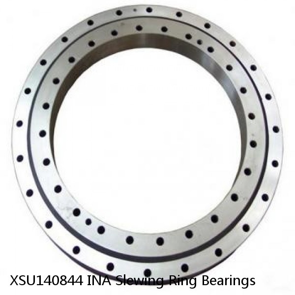 XSU140844 INA Slewing Ring Bearings #1 image