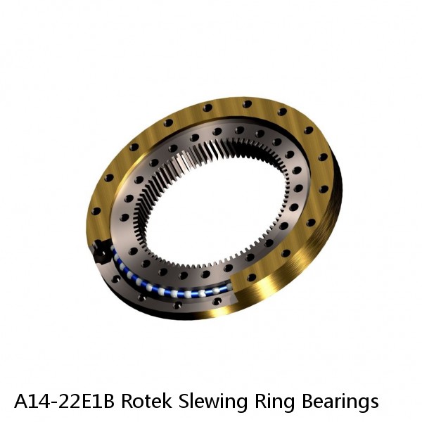 A14-22E1B Rotek Slewing Ring Bearings #1 image