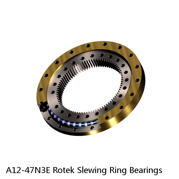A12-47N3E Rotek Slewing Ring Bearings #1 image
