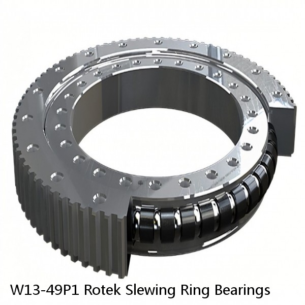 W13-49P1 Rotek Slewing Ring Bearings #1 image