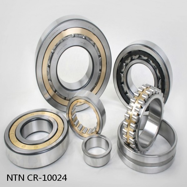 CR-10024 NTN Cylindrical Roller Bearing #1 image