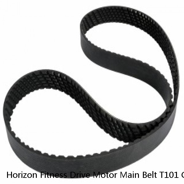Horizon Fitness Drive Motor Main Belt T101 Club HZ Elite Series 1000109551 #1 image