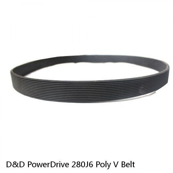 D&D PowerDrive 280J6 Poly V Belt #1 image