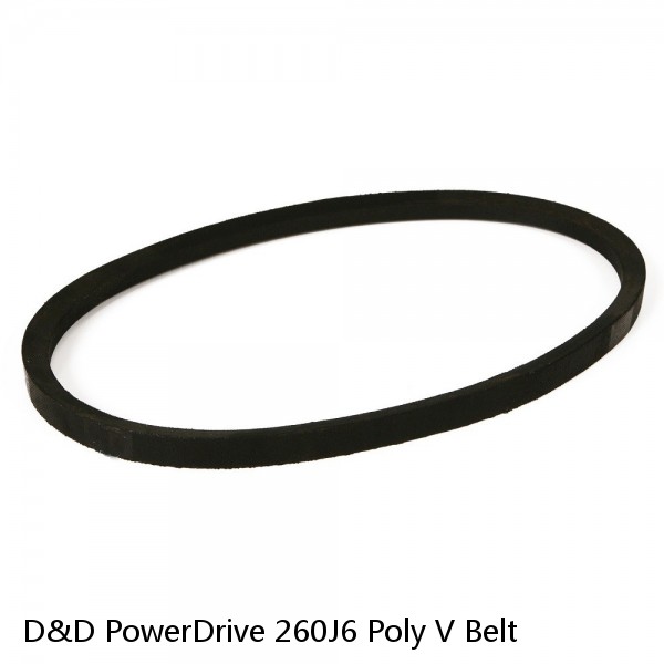 D&D PowerDrive 260J6 Poly V Belt #1 image
